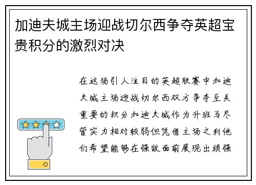 加迪夫城主场迎战切尔西争夺英超宝贵积分的激烈对决